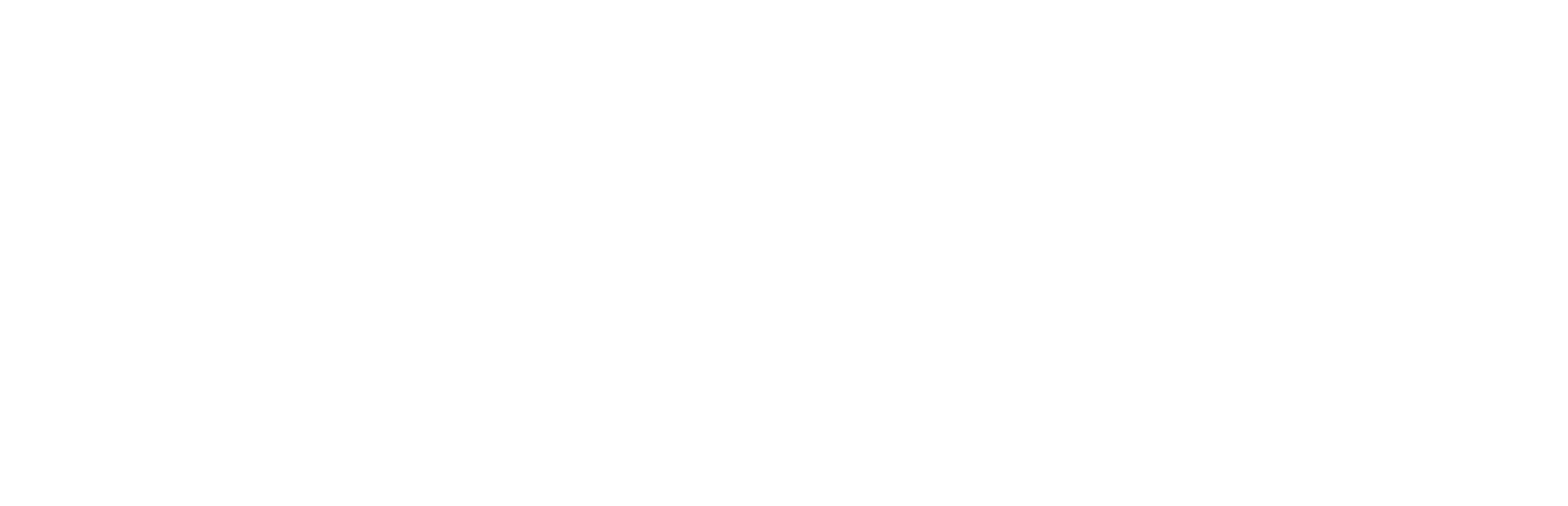 techsavvytales-high-resolution-logo-white-on-transparent-background
